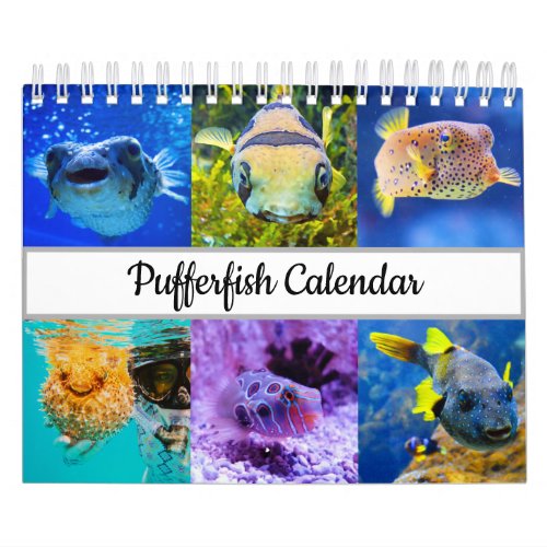 Pufferfish calendar