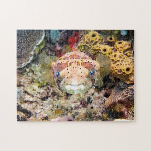 Pufferfish Jigsaw Puzzle