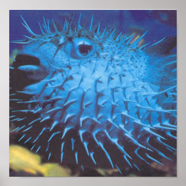 Pufferfish Poster (Front)
