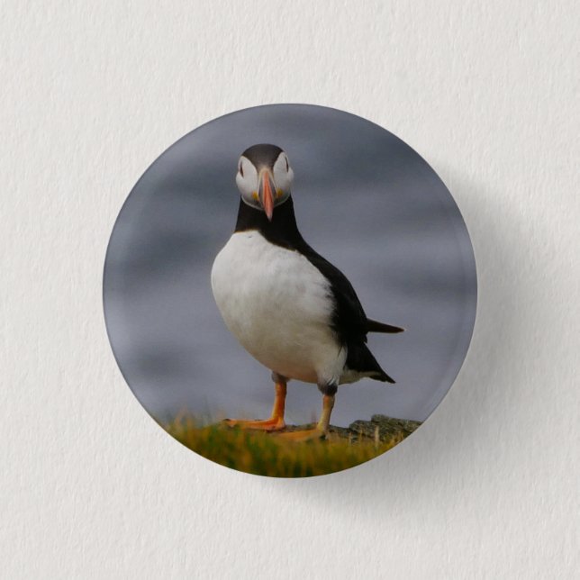 Puffin Badge Button (Front)