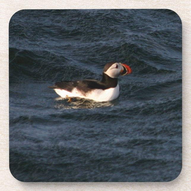 Puffin Beverage Coaster (Front)