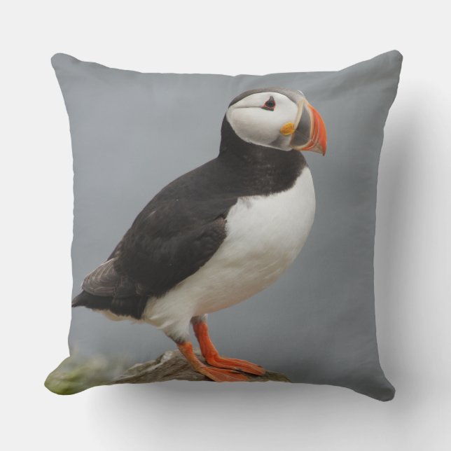 Puffin Bird Antarctic Nature Throw Pillow (Front)
