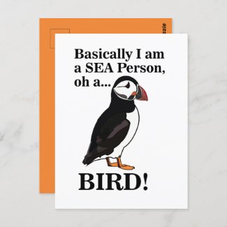 Puffin Bird Seabird Wildlife Funny