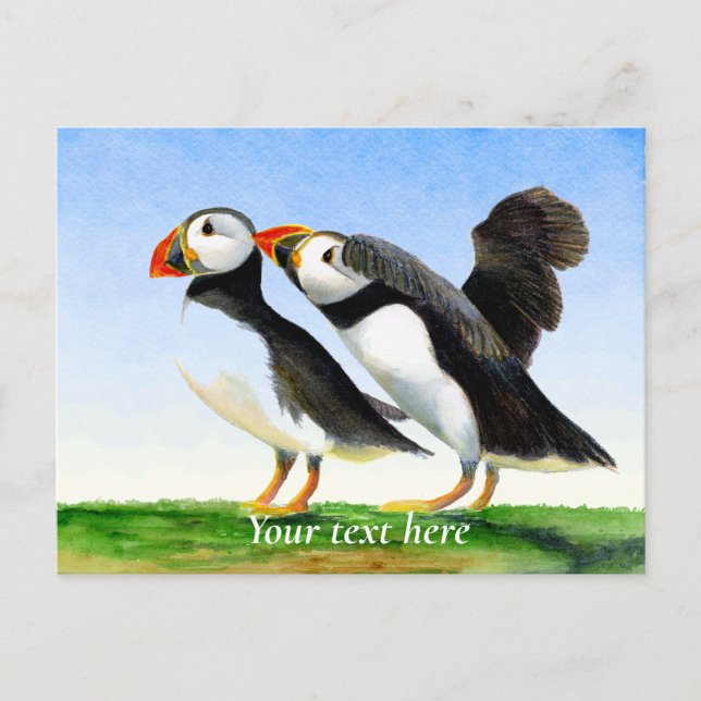 Puffin Bird Watercolor Painting Postcard (Front)