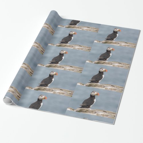 Puffin bird wrapping paper