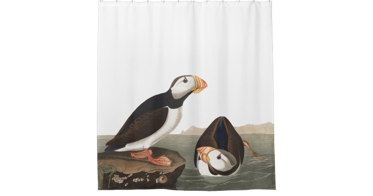 Puffin Birds Audubon Wildlife Shower Curtain Zazzle
