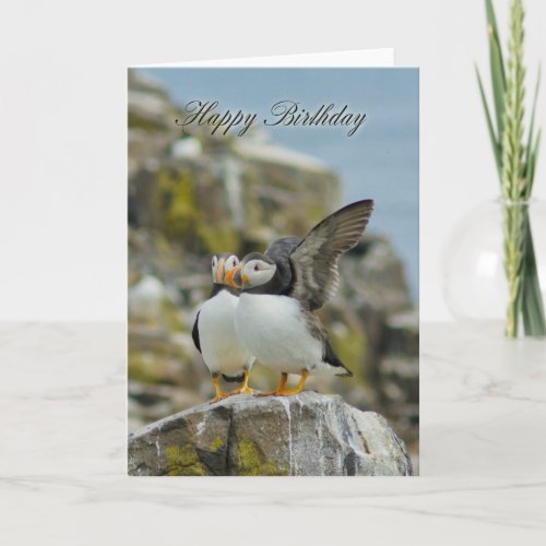 Puffin Birthday Greeting Card