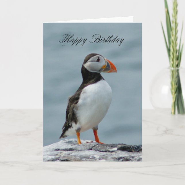 Puffin Birthday greeting Card (Front)