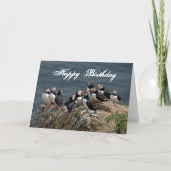 Puffin Birthday Greetings Card by Welshpixels at Zazzle