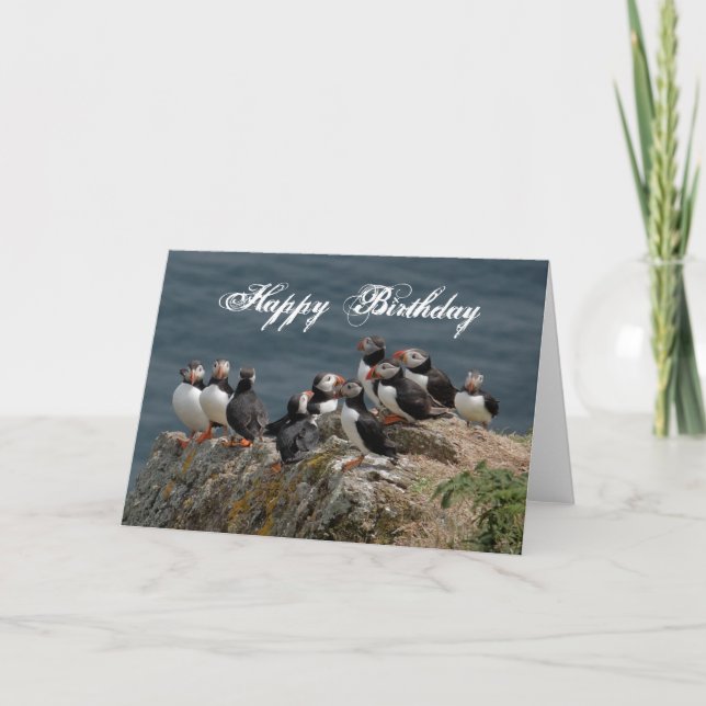 Puffin Birthday Greetings Card (Front)