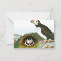Puffin by John James Audubon