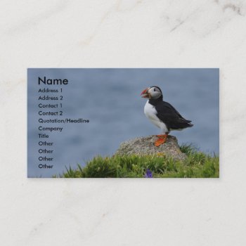 Puffin Card by Welshpixels at Zazzle