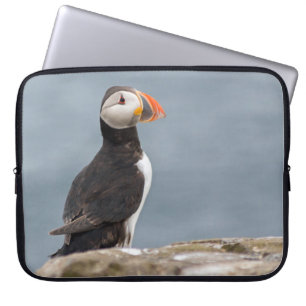 Puffin case