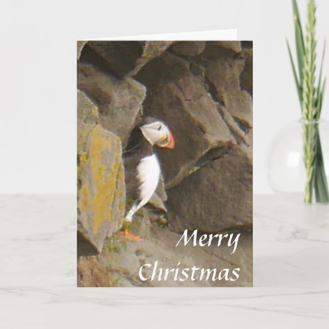 Puffin Christmas Card (Front)