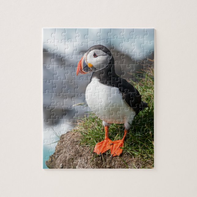 Puffin  Fratercula arctica  at Látrabjarg  Iceland Jigsaw Puzzle (Vertical)