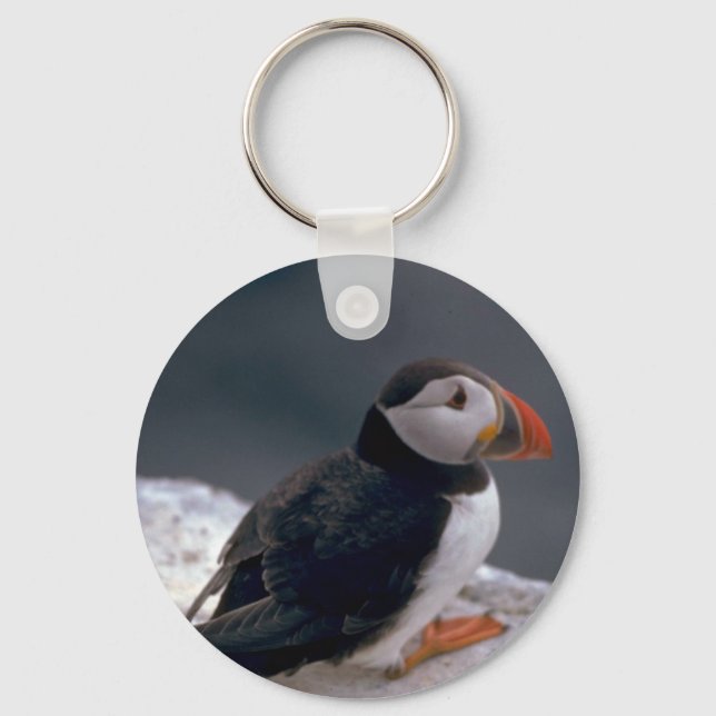 Puffin, Fratercula artica Keychain (Front)