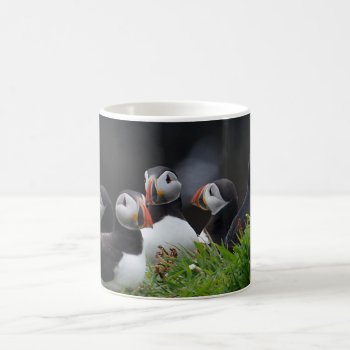 Puffin Gang Coffee Mug by Welshpixels at Zazzle