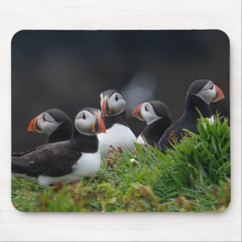 Puffin Gang Mouse Pad by Welshpixels at Zazzle