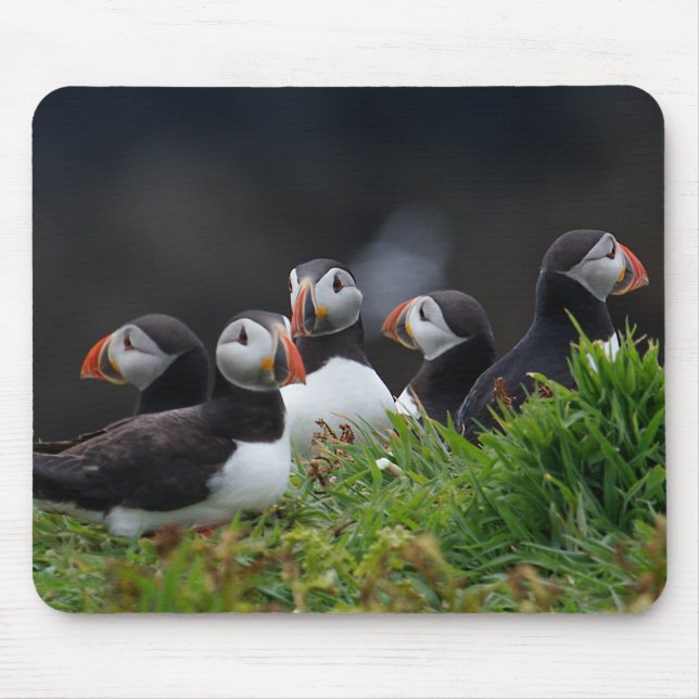 Puffin Gang Mouse Pad (Front)