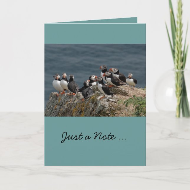 Puffin Greeting Cards (Front)