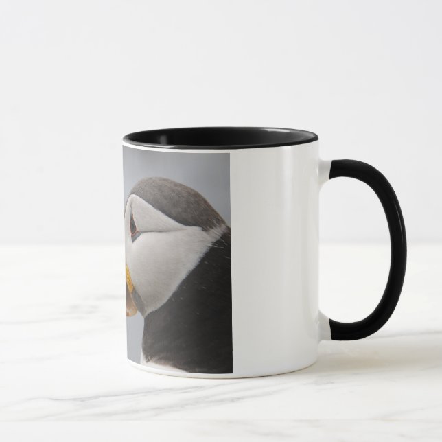 Puffin Head Iceland Mug (Right)