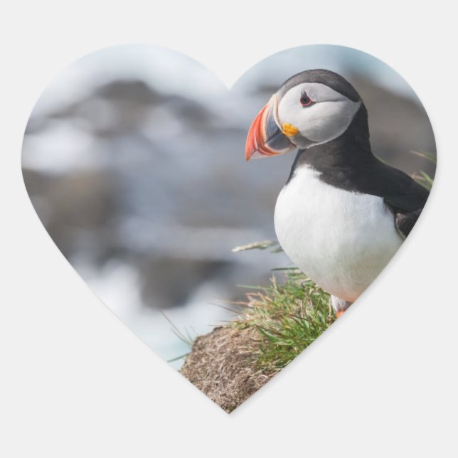 Puffin Heart Sticker (Front)