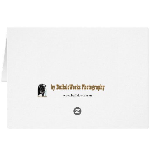 Puffin Horned 9028 (Back Horizontal)