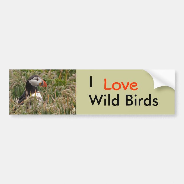 Puffin in Grass Bumper Sticker (Front)