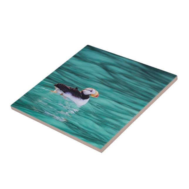 Puffin In Resurrection Bay, Alaska Ceramic Tile (Side)