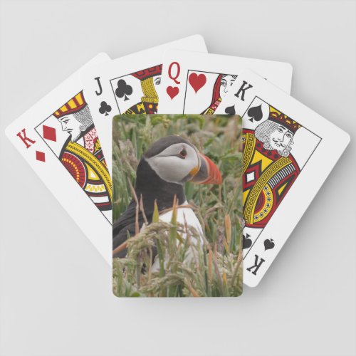 Puffin in the Grass Poker Cards