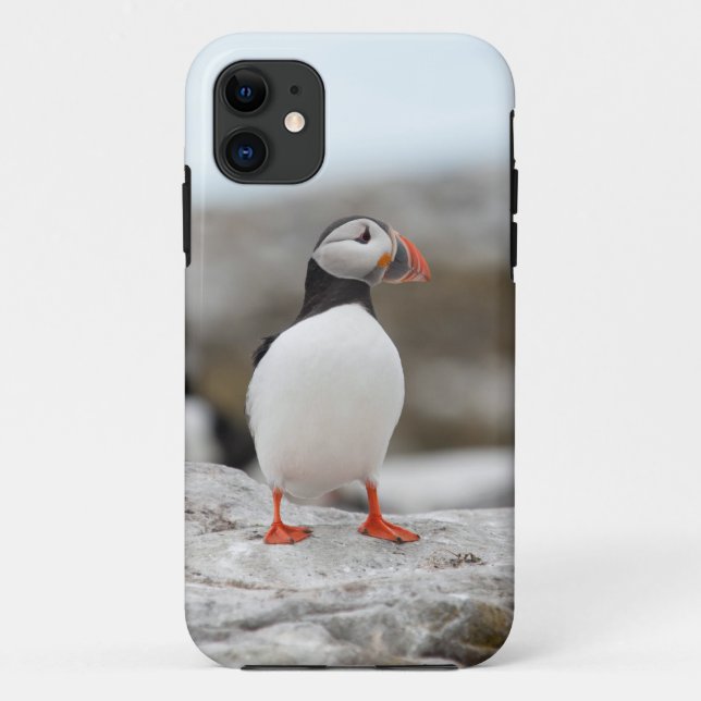 Puffin Iphone Case 5 (Back)