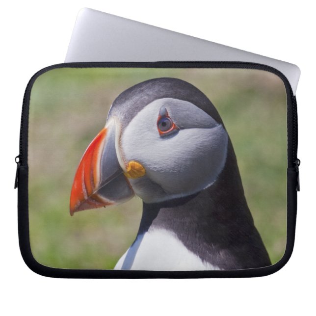 Puffin Laptop Sleeve (Front)