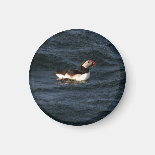 Puffin Magnet (Front)