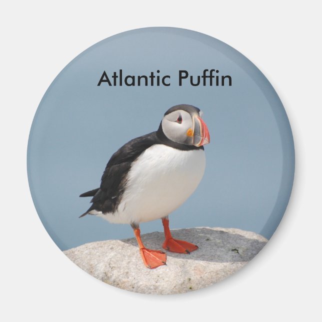 Puffin magnet (Front)