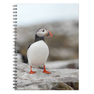 Puffin Notebook