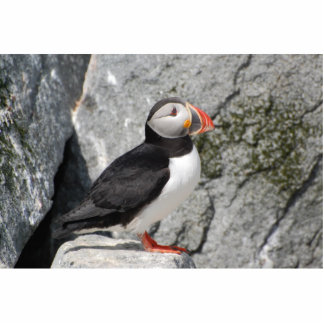 Puffin on rocks sculpture