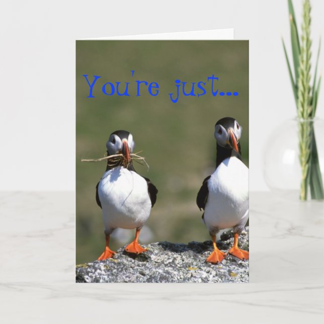 Puffin Pair Valentine's Card 'So my type' (Front)
