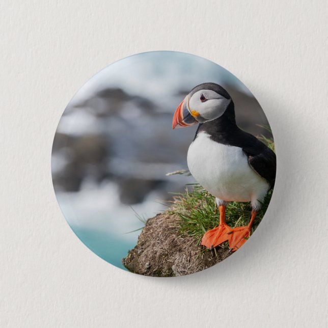 Puffin Pinback Button (Front)