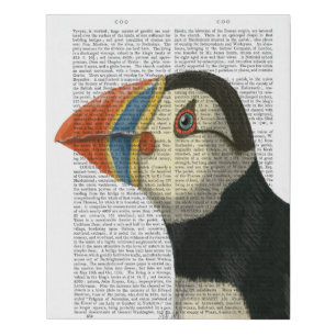 Puffin Portrait Faux Canvas Print