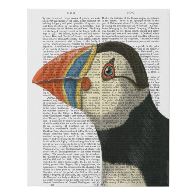 Puffin Portrait Faux Canvas Print (Front)