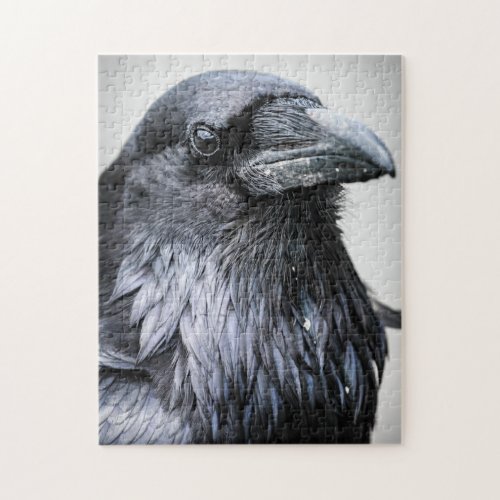 Puffin Portrait Jigsaw Puzzle