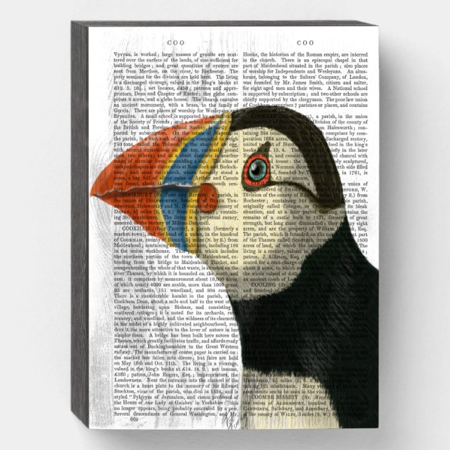 Puffin Portrait Wooden Box Sign (Front Vertical)