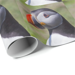 Puffin Portrait Wrapping Paper