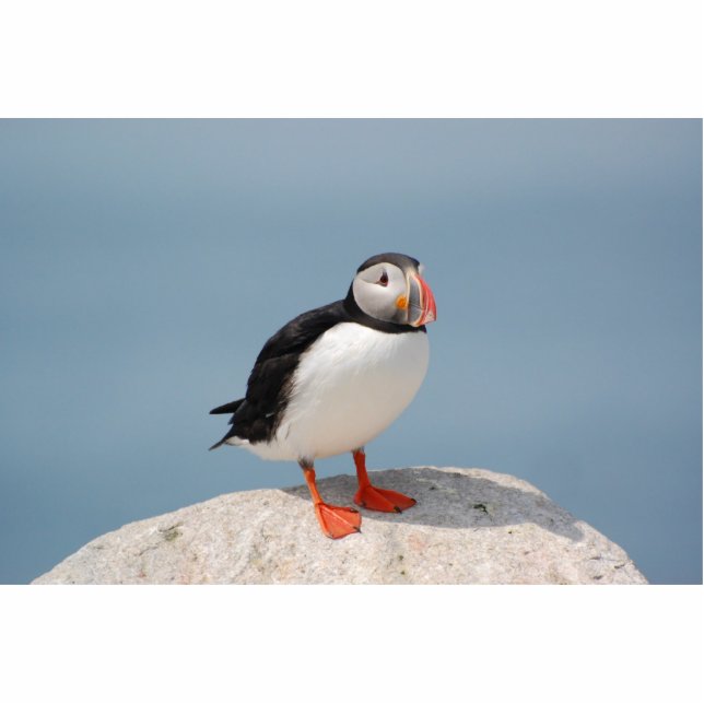 Puffin sculpture (Front)