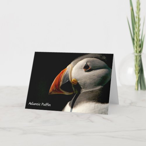 Puffin Seabird Birthday Wildlife Photo Unisex Card