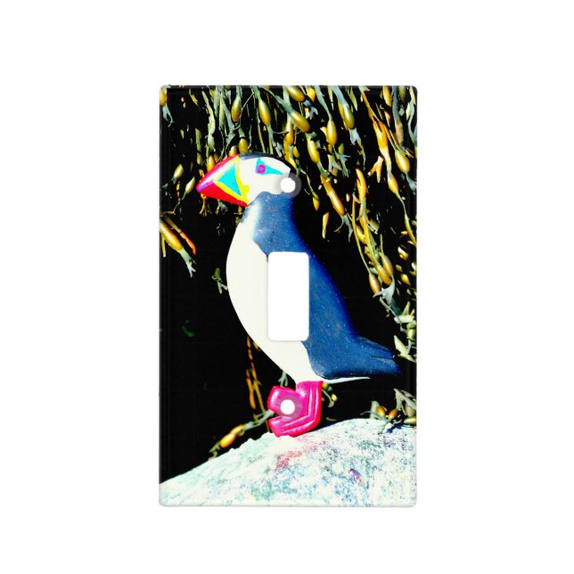 puffin switch cover (Front)