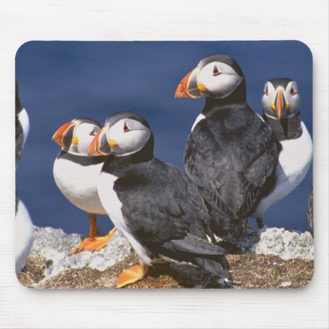 Puffin-tastic Mouse Pad (Front)