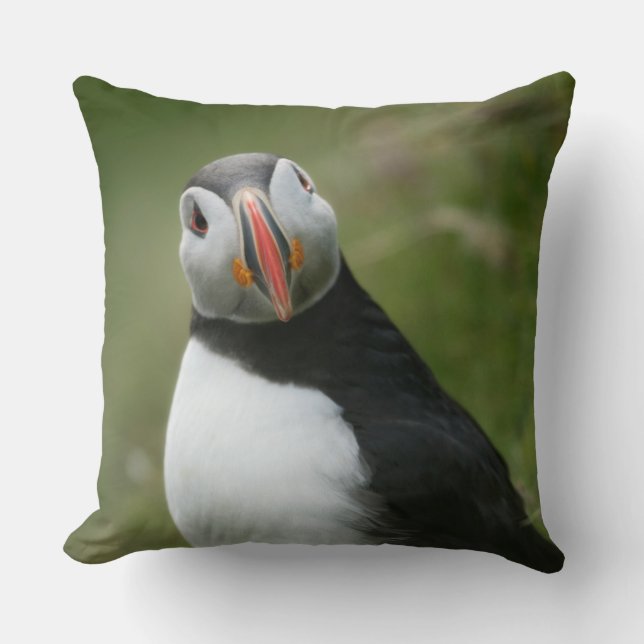 Puffin throw pilows pillow (Front)
