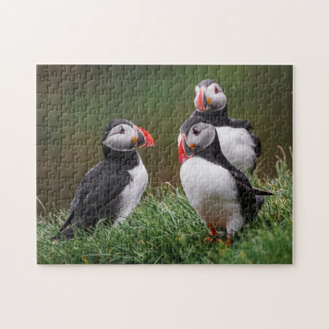 Puffin Trio Jigsaw Puzzle (Horizontal)