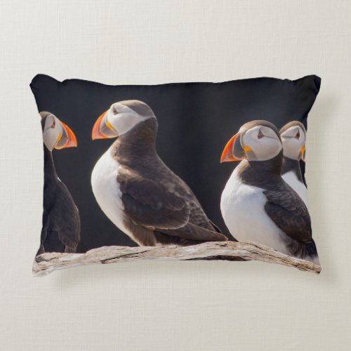 Puffins Accent Pillow